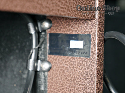 USED Magnatone Starlite 5 Watts / Class A amp