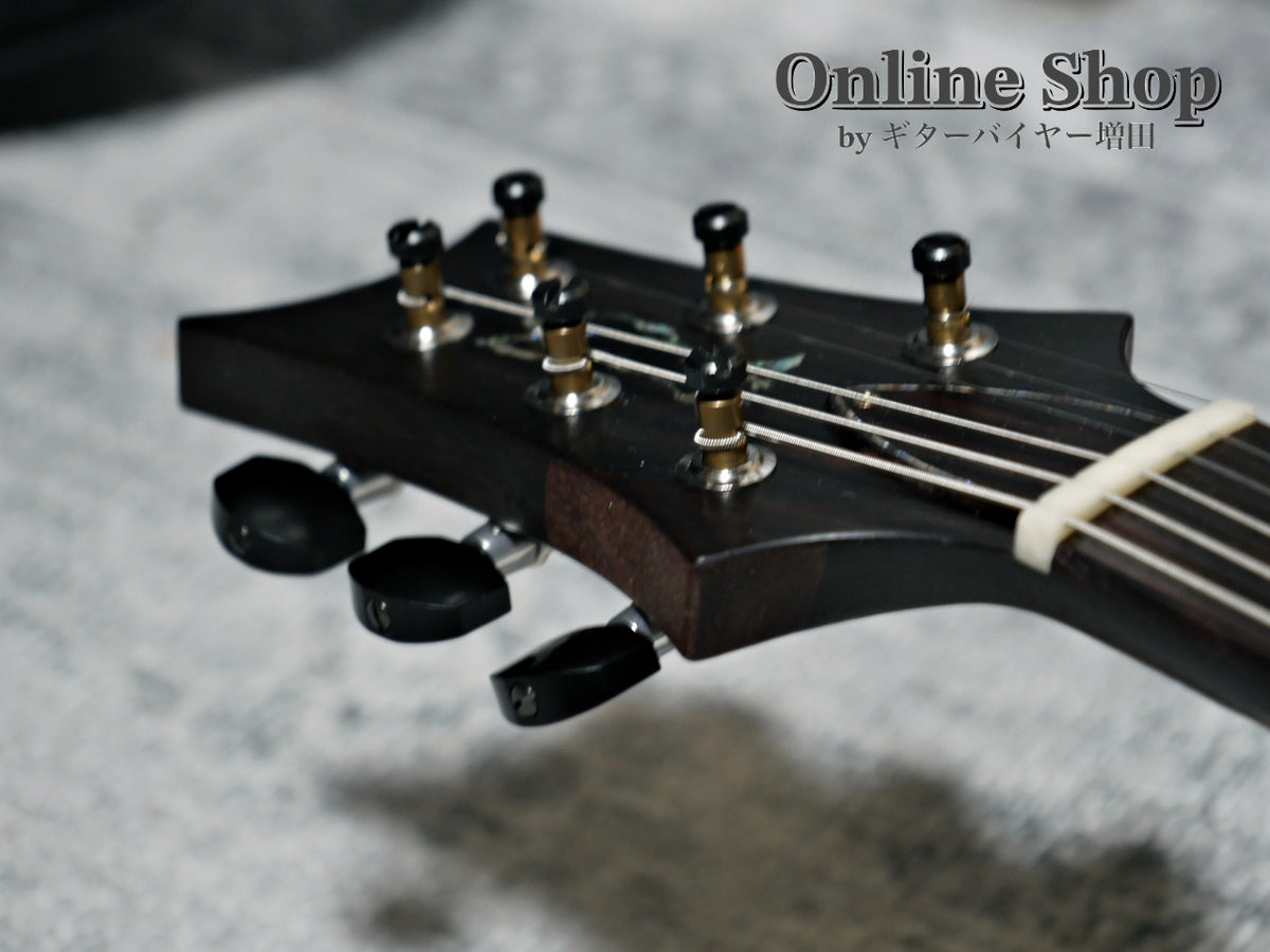 USED 2023 Paul Reed Smith Private Stock #11024 McCarty 594 Trem Aquamarine "Brazilian Rosewood Neck & Fingerboard"
