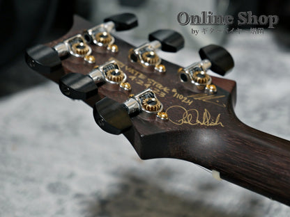 USED 2023 Paul Reed Smith Private Stock #11024 McCarty 594 Trem Aquamarine "Brazilian Rosewood Neck & Fingerboard"