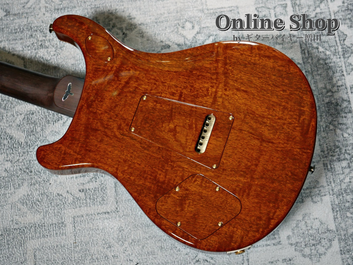 USED 2023 Paul Reed Smith Private Stock #11024 McCarty 594 Trem Aquamarine "Brazilian Rosewood Neck & Fingerboard"