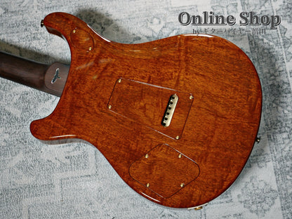 USED 2023 Paul Reed Smith Private Stock #11024 McCarty 594 Trem Aquamarine "Brazilian Rosewood Neck & Fingerboard"