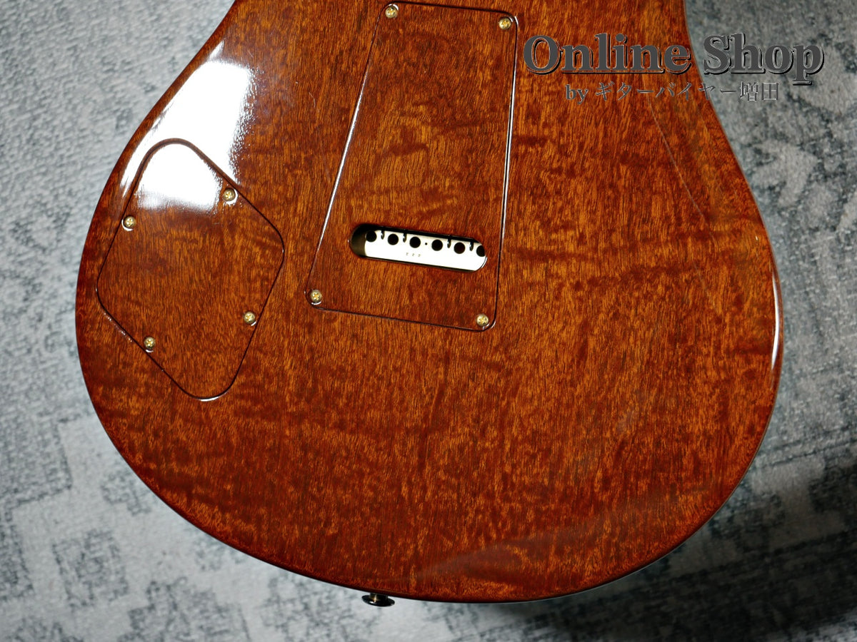 USED 2023 Paul Reed Smith Private Stock #11024 McCarty 594 Trem Aquamarine "Brazilian Rosewood Neck & Fingerboard"
