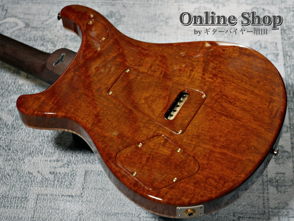 USED 2023 Paul Reed Smith Private Stock #11024 McCarty 594 Trem Aquamarine "Brazilian Rosewood Neck & Fingerboard"